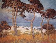 Cypress at Monterey